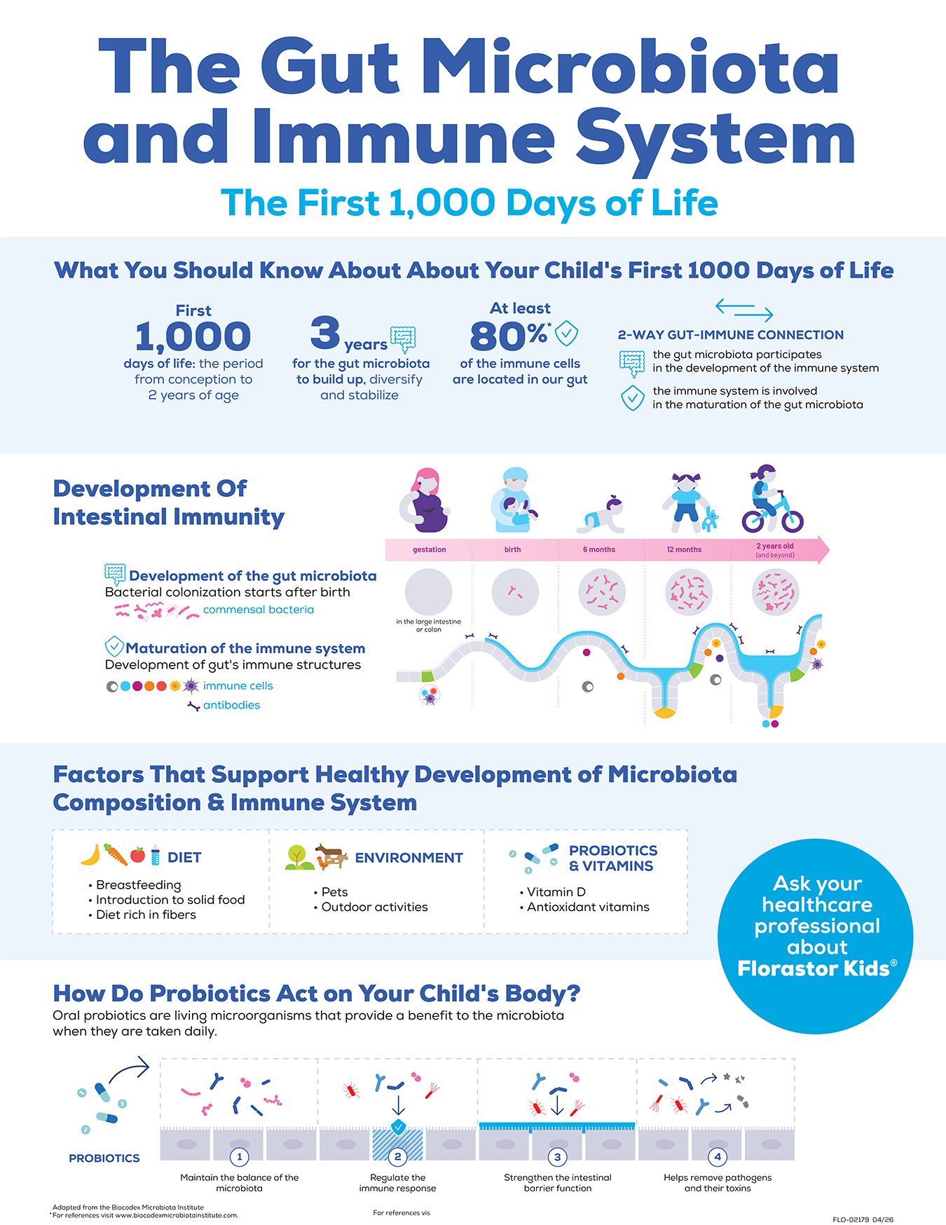 The Gut Microbiota
and Immune System