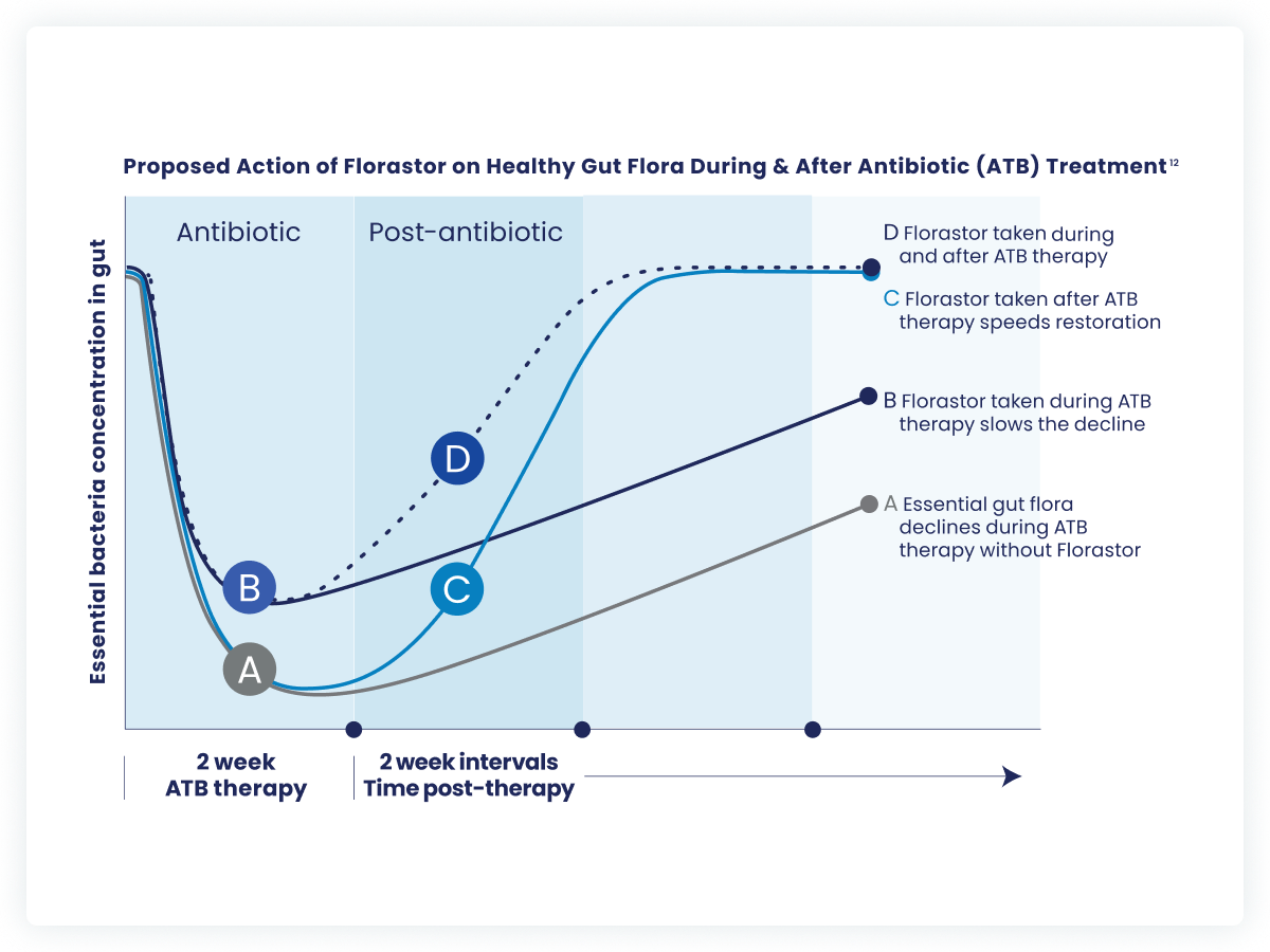 Florastor protects and restores essential gut bacteria